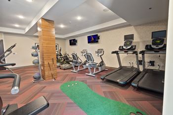 A gym with treadmills and weights and a green rug